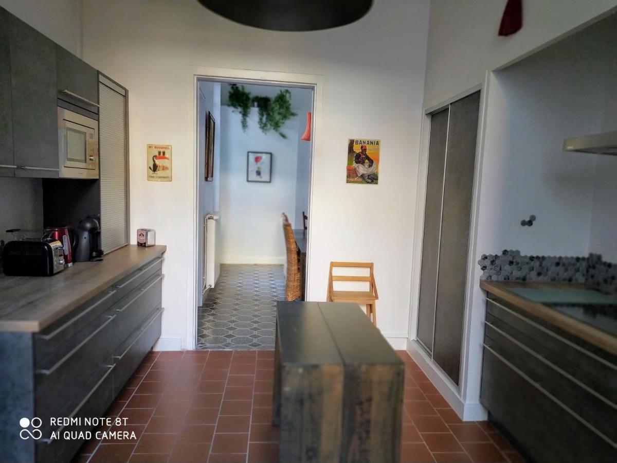Le Selamat, Logis Xxl Au Calme Avec Terrasse Carcassone Kültér fotó